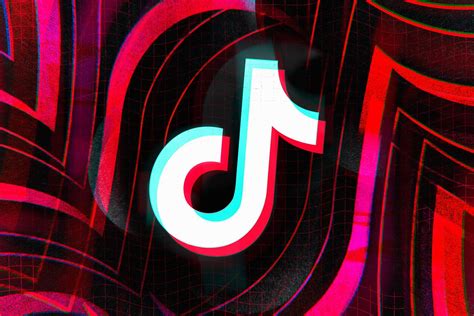 Tiktok Rolls Out New In App 2020 Elections Guide The Verge