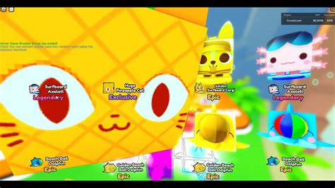 I Hatched The New HUGE PINEAPPLE CAT In Pet Simulator X YouTube