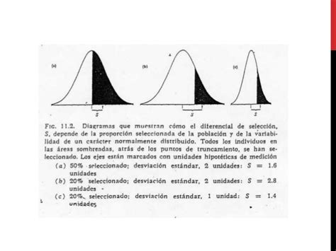 Ejemplos De Desviacion Estandar