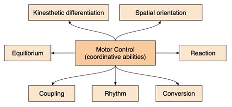 Bbc news provides trusted world and uk news as well as local and regional perspectives. Why does he pick up new BJJ techniques so fast and I don't ...
