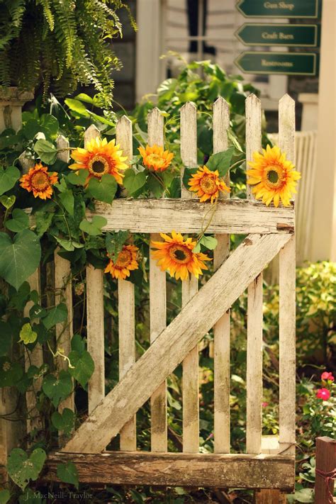 Check spelling or type a new query. garden gate | Garden gates, Beautiful flowers, Cottage garden