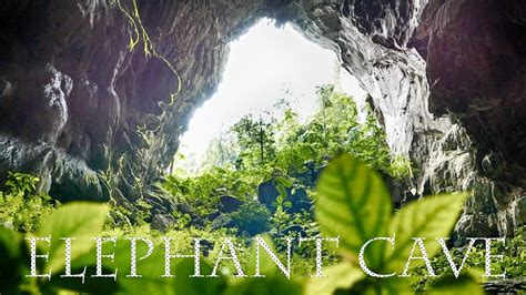 Elephant Cave Phong Nha Jungle Hike With Blue Pool Youtube