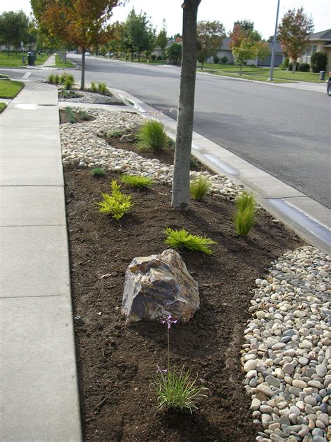 Front Parkway Xeriscape Front Yard Landscaping With Rocks Sidewalk