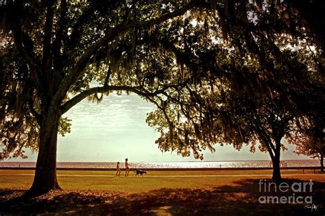 Mandeville Lakefrontpontchartrain Lakefront Lakefront Homes