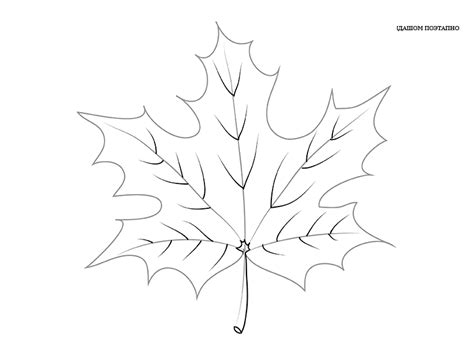 Kako Nacrtati Jesenje Lišće Sve O Tetovaži