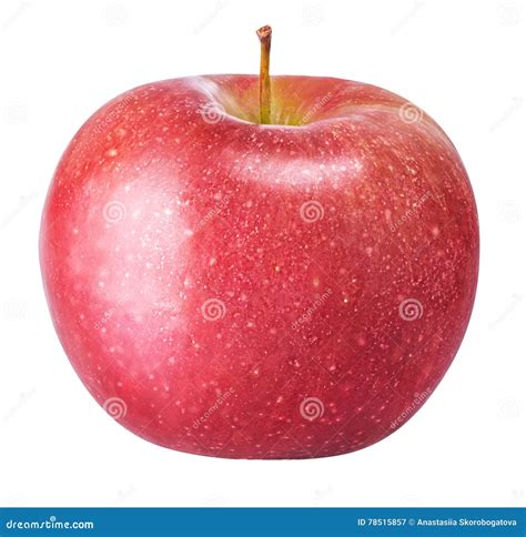 One Red Apple Isolated On White Background Stock Image Image Of Close