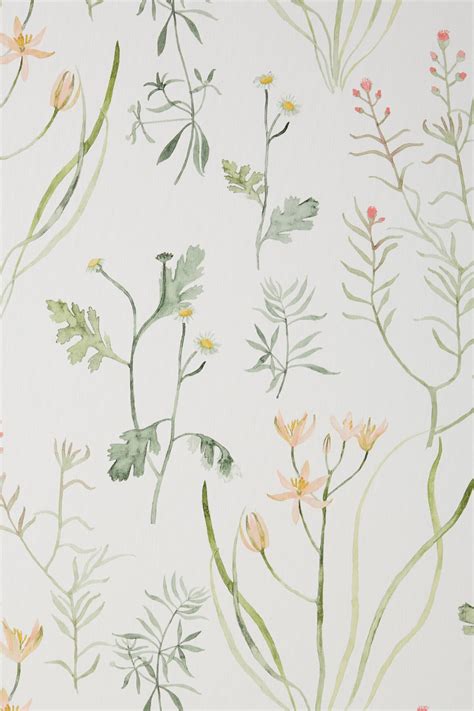 Alpine Botanical Wallpaper Botanical Wallpaper Iphone Background