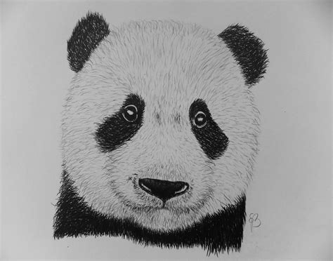 How To Draw Panda Videoby Edgarsart — Steemit