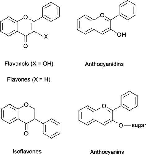 Flavonoids Can Be Subdivided Into Different Subclasses Including