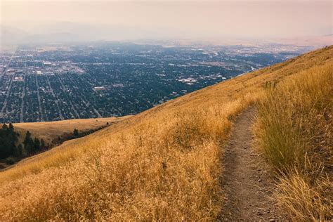 Mount Sentinel via Pengelly Ridge over Missoula, Montana : r/hiking