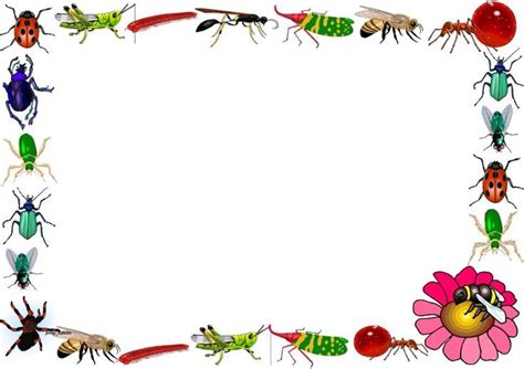 Bug Border Download Free Clip Art With A Transparent