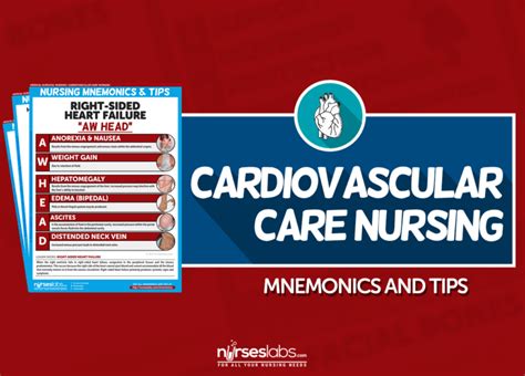Cardiovascular Care Nursing Mnemonics And Tips Medical Surgical Nursing