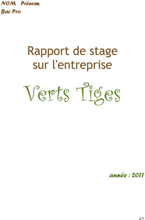 Exemple Dintroduction Rapport De Stage Bac Pro Le Mei Vrogue Co