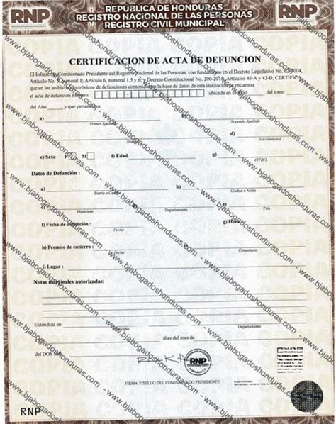 Certificado De Defunción Acta De Defunción