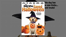 The Dog Who Saved Halloween - YouTube