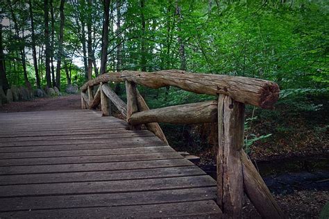 Bridge Railing Forest Forest Path Wood Web Transition Scenic