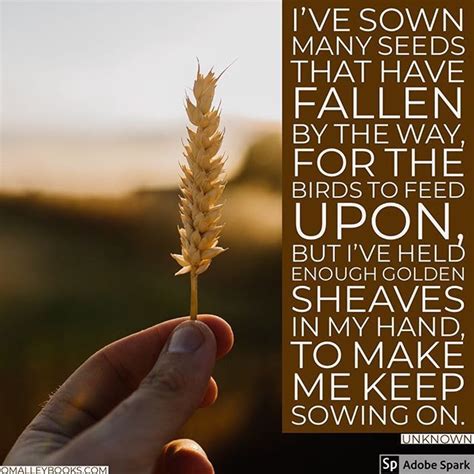 Are You Sowing The Seeds Of The Gospel Sowing By The Way Seeds