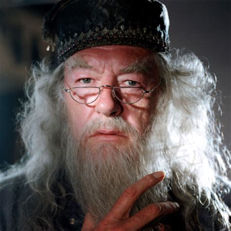 As part of his backstory, it is revealed that he is the founder and leader of the order of the phoenix. Albus Dumbledore - City of Point Russell