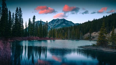 Download Wallpaper 2560x1440 Lake Mountains Forest Landscape Nature Widescreen 169 Hd