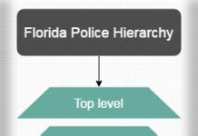 Indian Police Service Hierarchy Chart Hierarchystructure Com