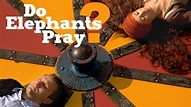 Do Elephants Pray? (2013) - Plex