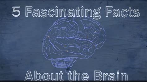 5 Fascinating Facts About The Brain