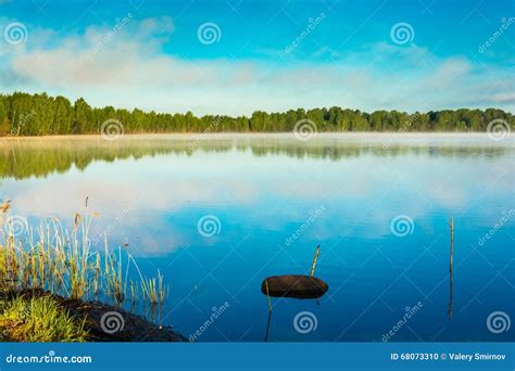 Sunny Morning On The Lake Stock Photo Image Of Sunlight 68073310