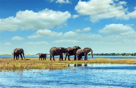 Travel To Botswana Tours And Safari In Botswana Kilroy
