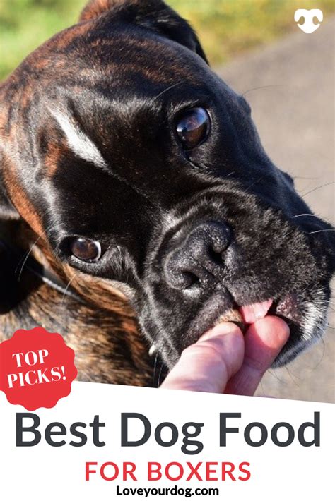 Dec 06, 2019 · food/diet. Best Dog Foods For Boxers: Puppies, Adults & Seniors | Dog food recipes, Best dog food, Best dogs