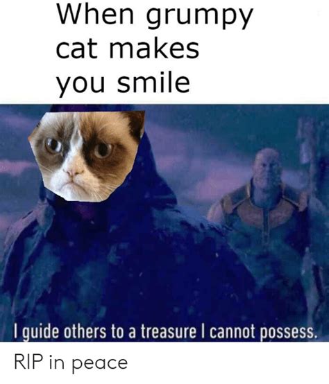 Infinity war, which was premiered on april 23rd, 2018 in the us. When Grumpy Cat Makes You Smile I Guide Others to a Treasure I Cannot Possess RIP in Peace ...