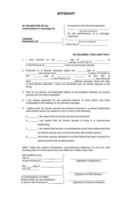 115 Affidavit Of Marriage By Common Law Page 3 Free To Edit Download