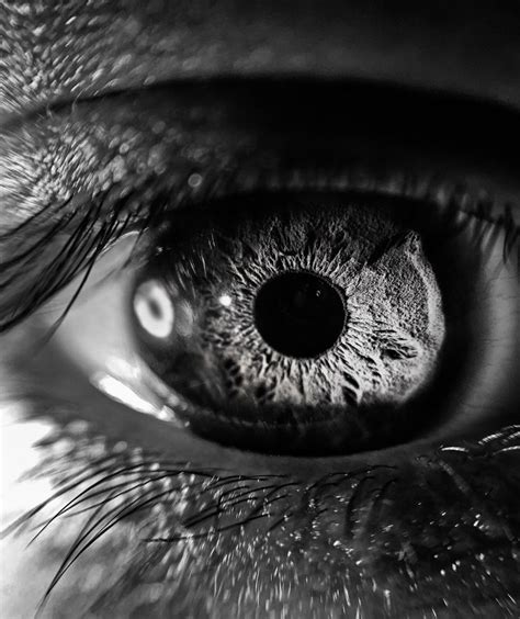 Macro Photography Of The Eyes Tips And Examples Macro Photography