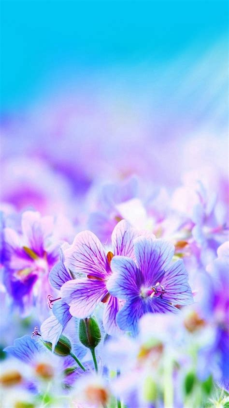 Download cute flower images and photos. Really Cute Backgrounds ·① WallpaperTag