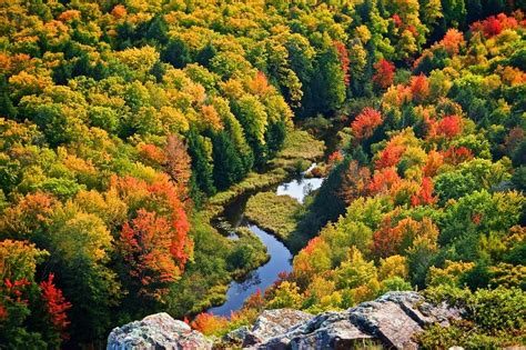 The Best Places For Fall Colors In Michigan Vegmichigan