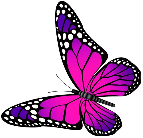 Pink And Purple Butterfly Clip Art Library