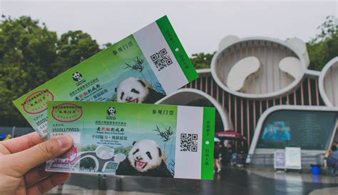Chengdu Research Base Of Giant Panda Breeding Tour