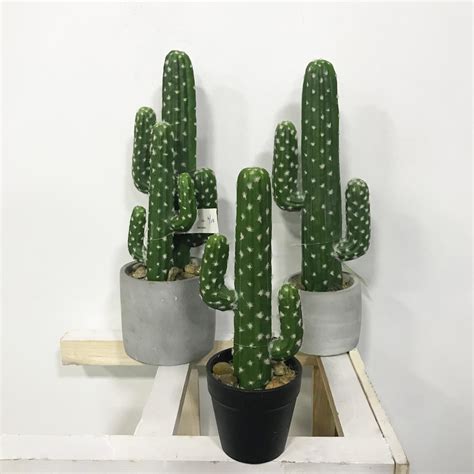 Popular Design Artificial Cactus Plant Decorative Desert Fake Cactus