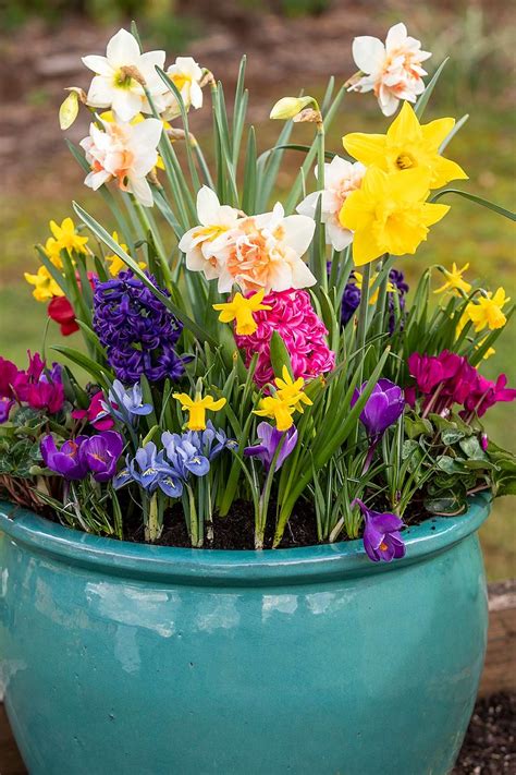 How To Make Beautiful Flower Pots At Home Better Homes And Gardens