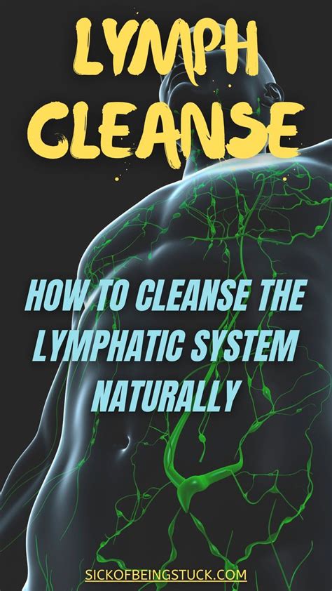 How To Cleanse The Lymphatic System Naturally Lymphatic System
