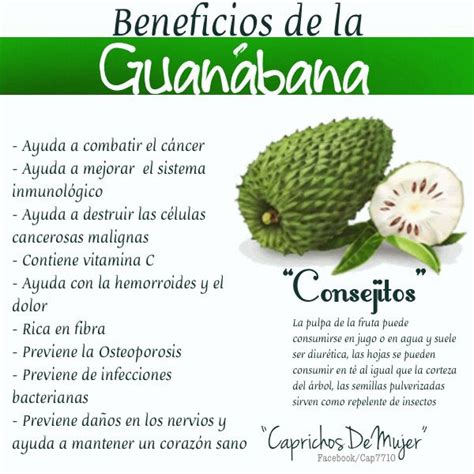 Beneficios De Las Hojas De Guanabana Guanabana Remedios Para La My Xxx Hot Girl
