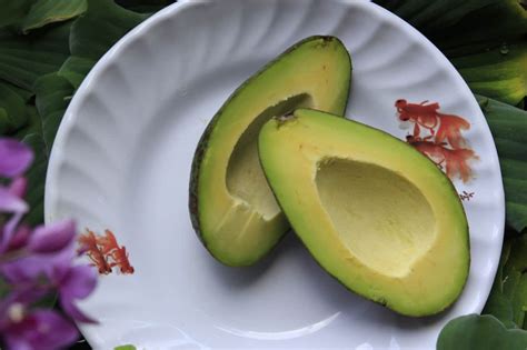 As of today, we will no longer be serving avocado in the yurt. 10 Reasons Avocado Is One Of The Healthiest Foods On The Planet