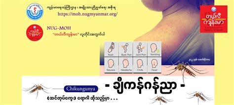Chikungunya Video တယ်လီကျန်းမာ