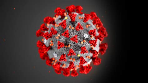 How Did Coronavirus Start And Spread Bbc Reel