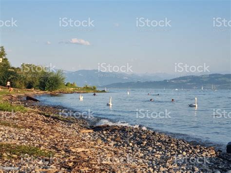 Beach At Lake Constance Stock Photo Download Image Now Bodensee