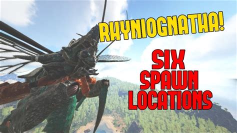 Ark Survival Ascended Rhyniognatha Spawn Map Deltia S Gaming Hot Sex Picture