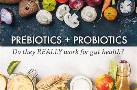 Check spelling or type a new query. Prebiotics + Probiotics: Do They Really Work for Gut Health?