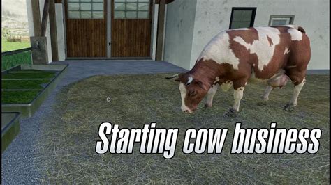 Farming Simulator 19 We Start Business With Cows Youtube