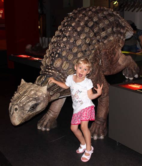 Creating And Educating Dinosaurs At The Australian Museum