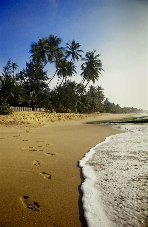 Beaches Flickr