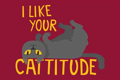 70 Cat Puns And Jokes That Are Pawsitively Purrfect Redbubble Life
